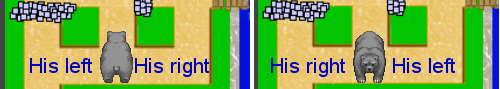 The left and right of the bear